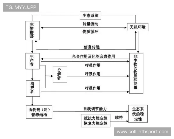 河床拟对后防进行结构性改造以提升稳定性