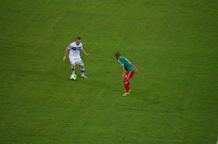 华体会官网介绍-中国足球对抗频次与伤病风险相关性，足球 对抗