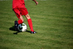 华体会app-校园足球教练培训体系现状与改革思路，校园足球师资培训